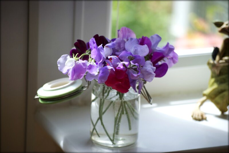 Purple Sweet Peas in Vase