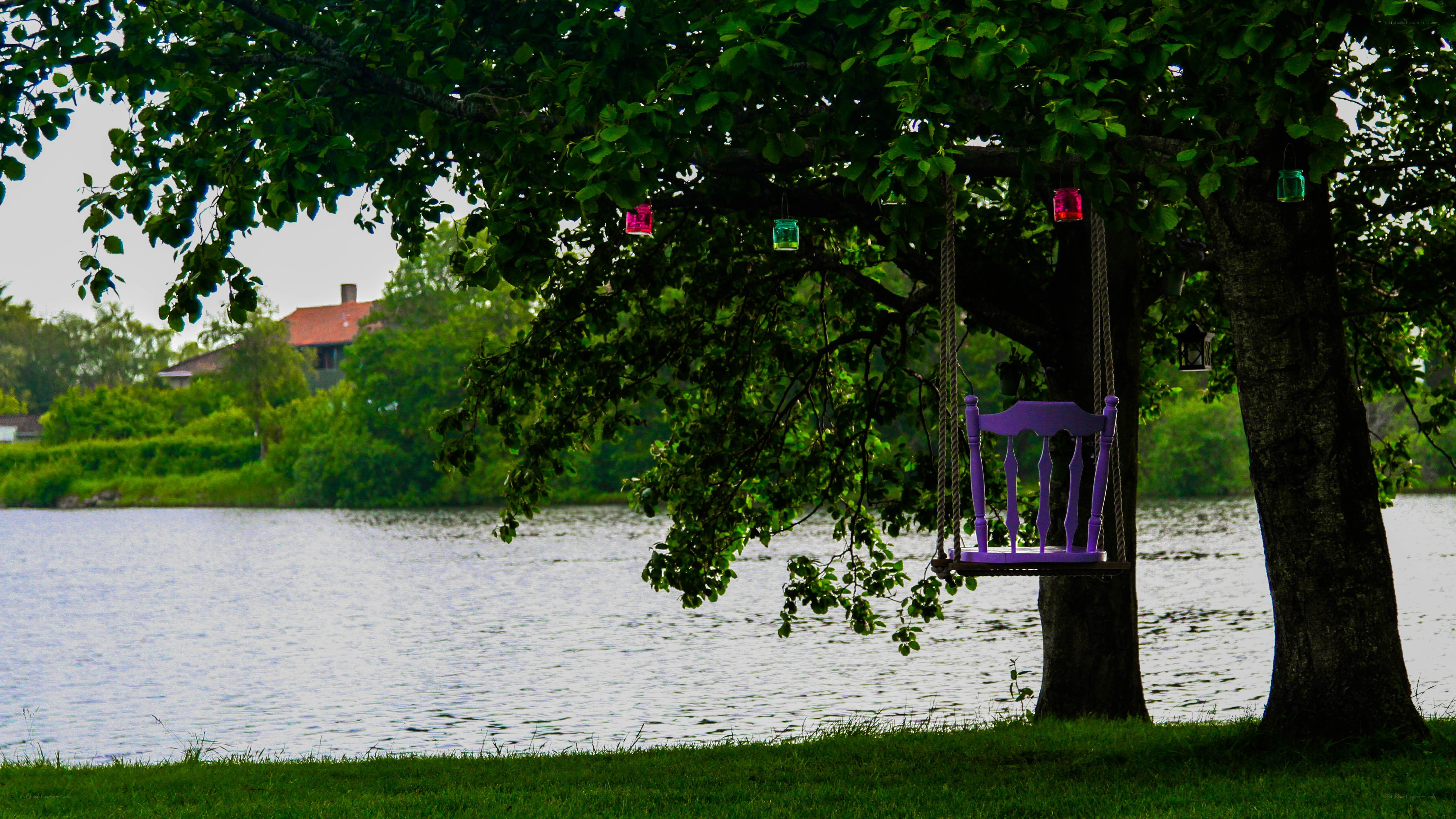 Purple swing by the lake