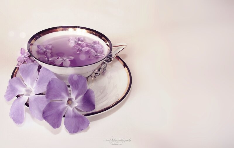 Purple Tea in Cup