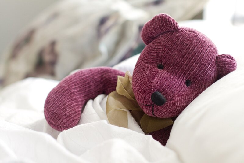 Purple Teddy Bear — Calm, Photograph