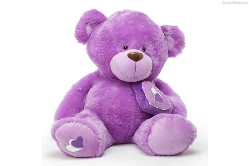 Purple Teddy Bear — Neutral