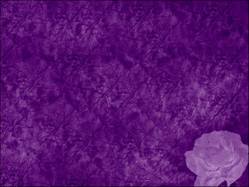 Purple Textured Background — Calm, Abstract, Flower