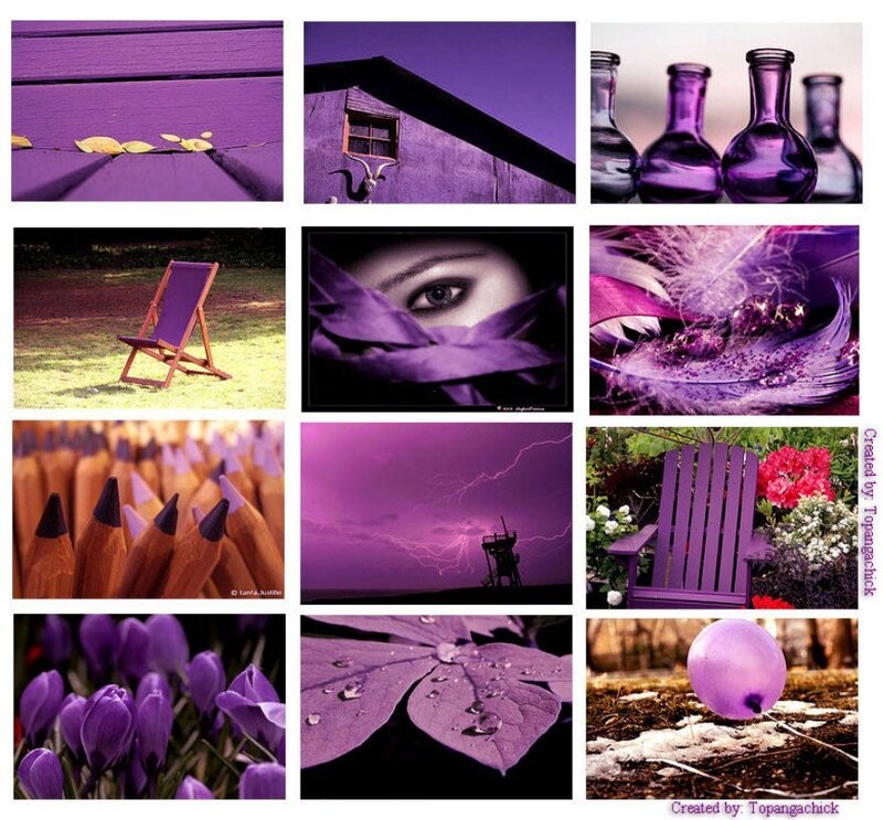 Purple-themed Collage — Purple