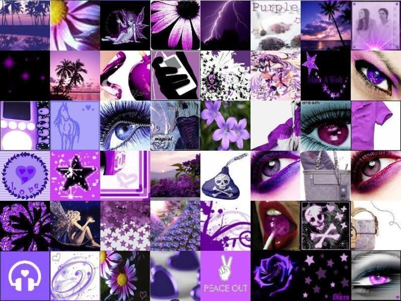 Purple-themed collage