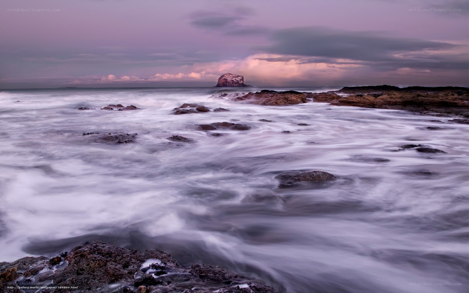 Purple Tide at Coastal Rocks