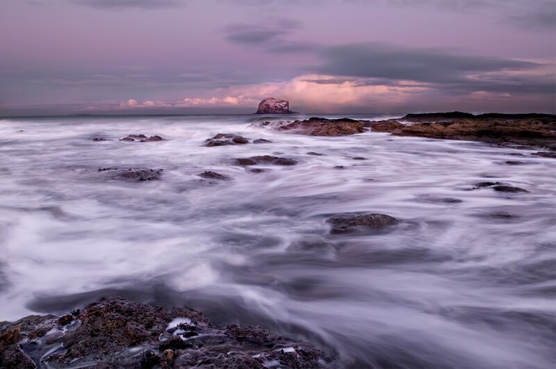 Purple Tide at Sea Stack