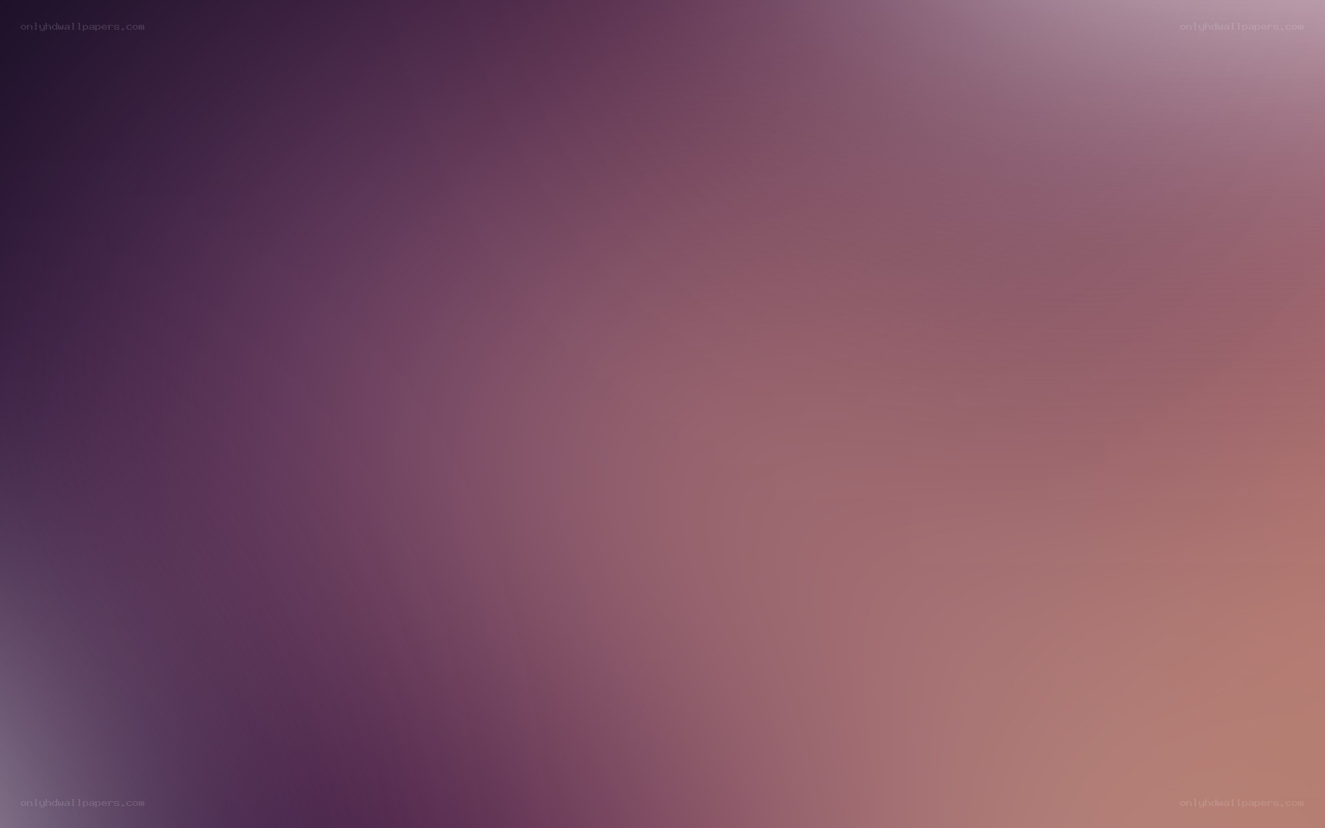 purple to pink gradient