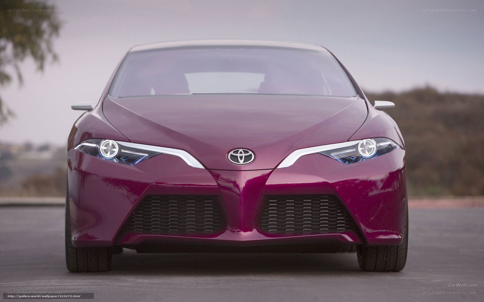 Purple Toyota concept car