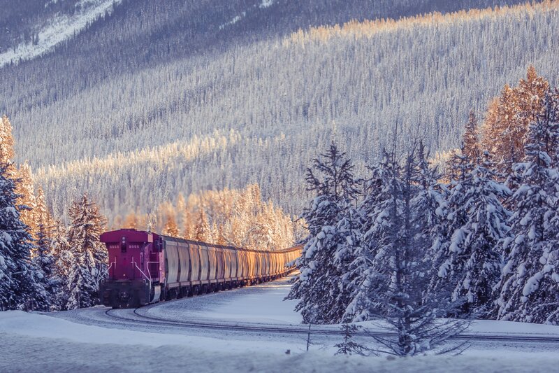 Purple Train in Snow