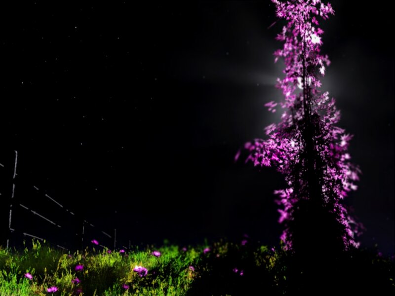 Purple Tree at Night