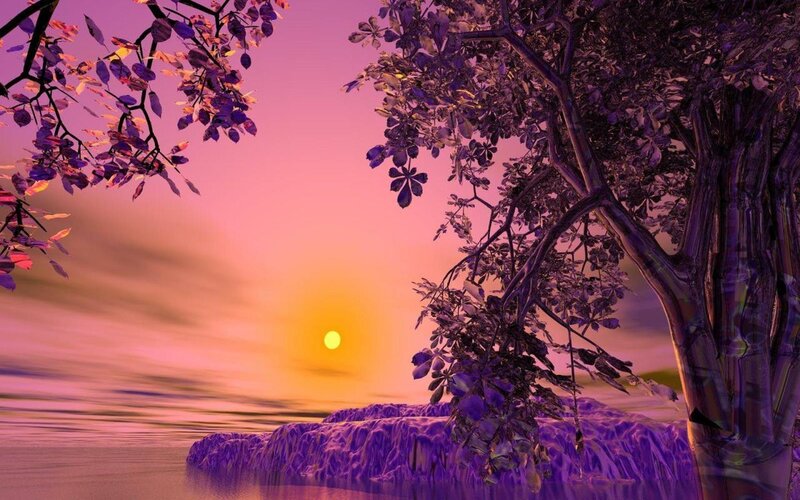 Purple Tree at Sunset — Serene