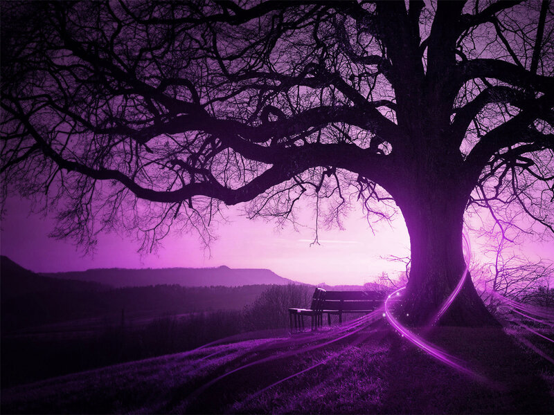 Purple tree at twilight