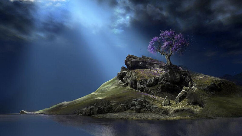 Purple Tree on Rock Island