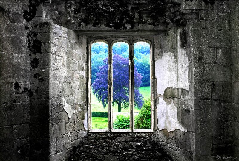 Purple Tree Through Window