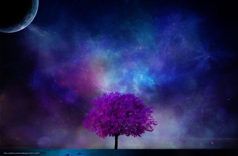 Purple tree under starry sky