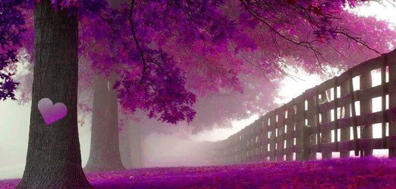 Purple Tree with Heart