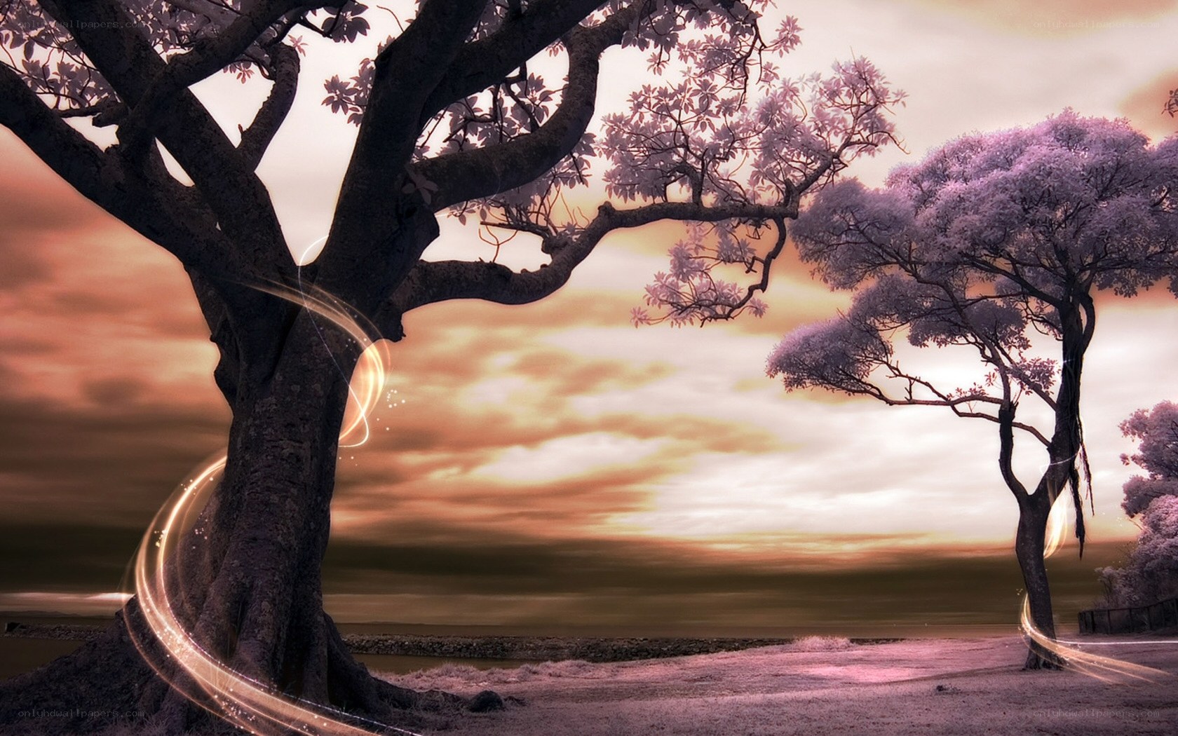 Purple trees at sunset