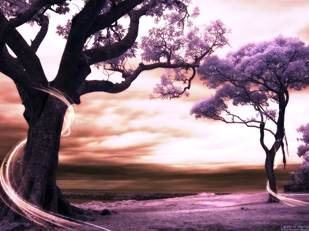Purple trees at sunset