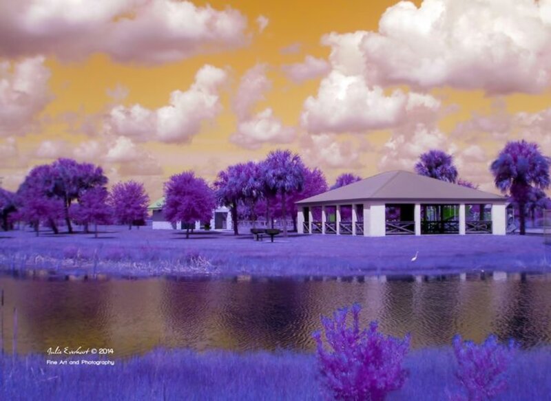 Purple Trees by Pond — Dreamy