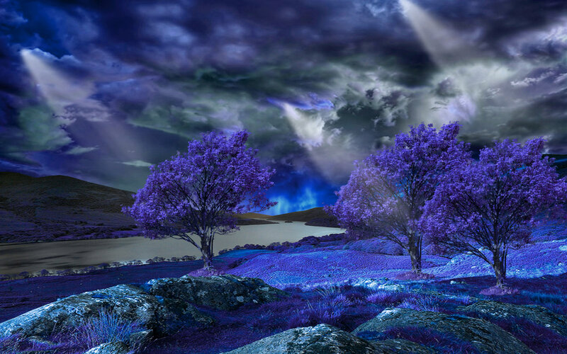 Purple Trees in Landscape