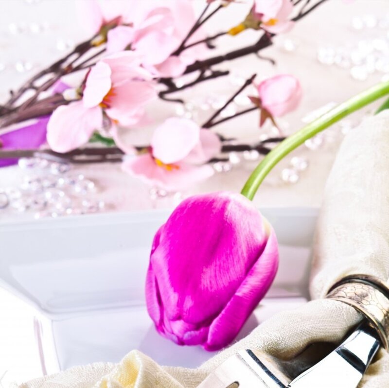 Purple Tulip and Blossoms