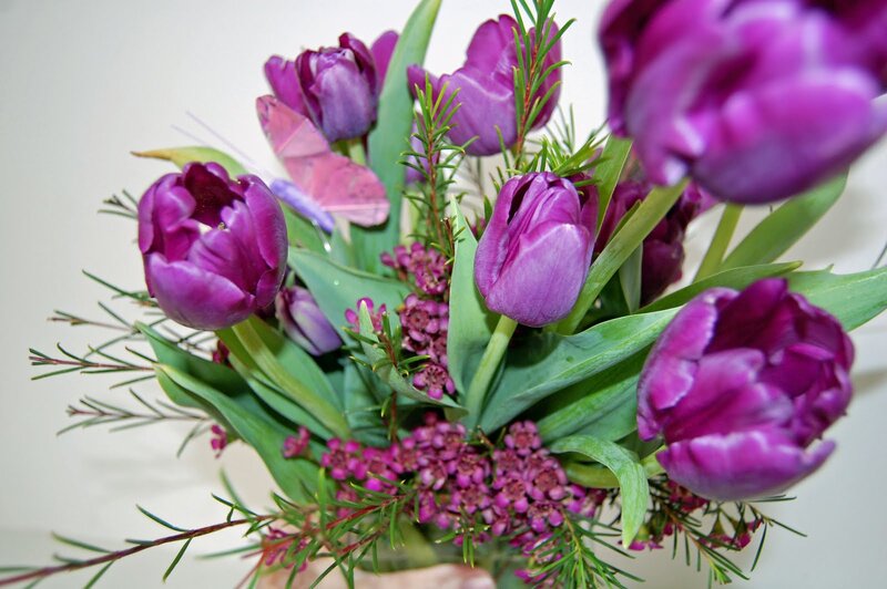 Purple Tulip Bouquet — Calm, Photograph, Green Leaves
