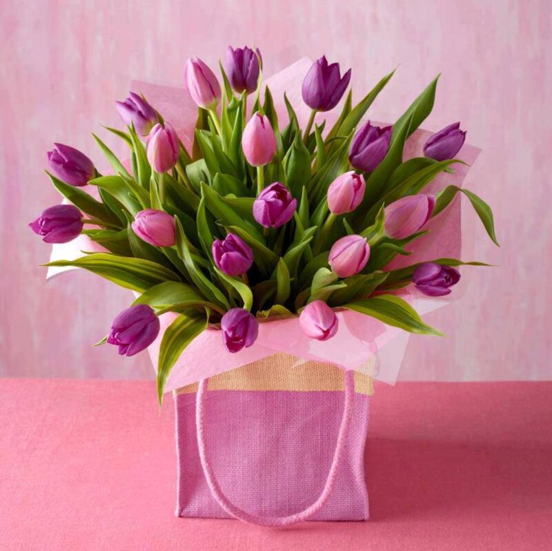 Purple Tulip Bouquet — Pink