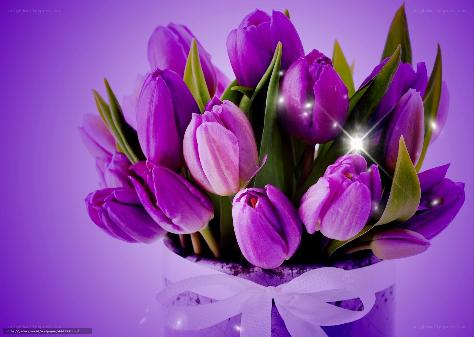 purple tulip bouquet