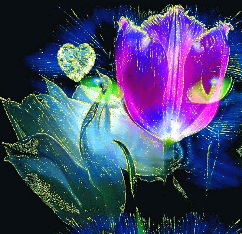 Purple Tulip Flower — Dreamy