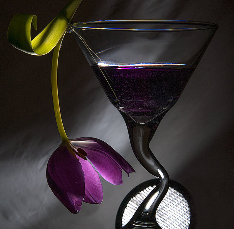 Purple Tulip in Glass