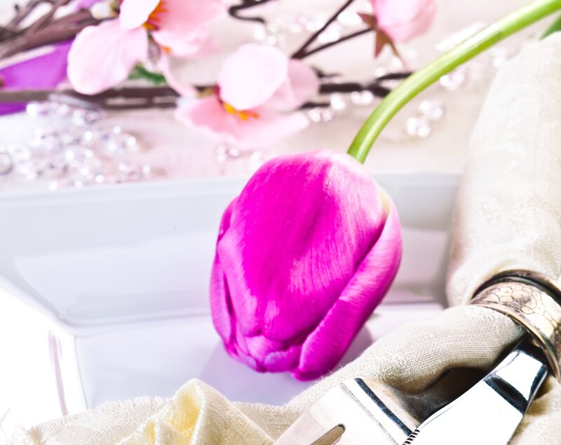 Purple Tulip on Table
