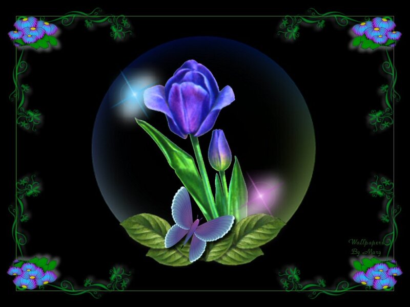 Purple Tulip with Butterfly
