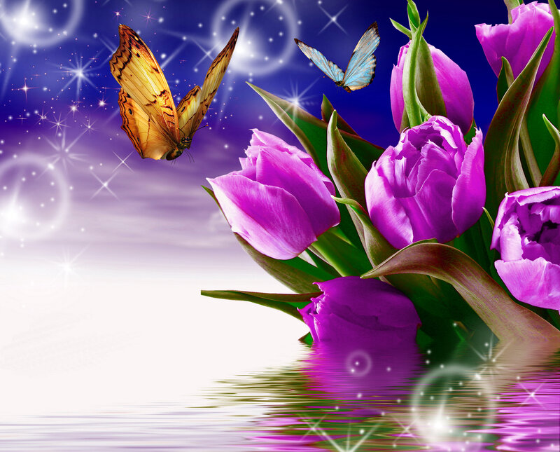 Purple Tulips and Butterflies — Dreamy