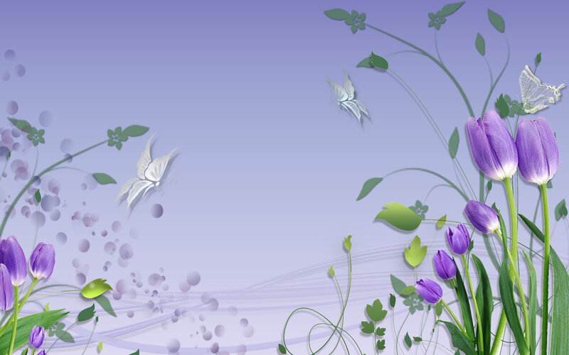 Purple Tulips and Butterflies — Serene