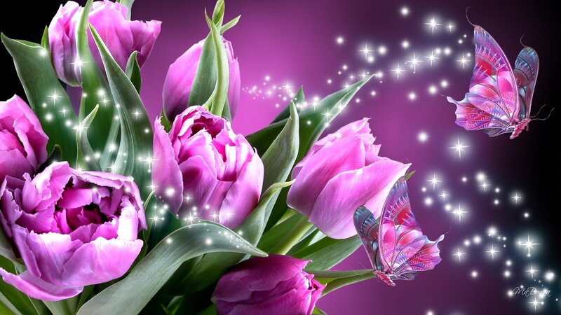 Purple Tulips and Butterflies