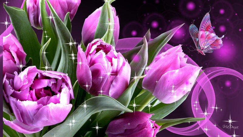 Purple Tulips and Butterfly — Magical
