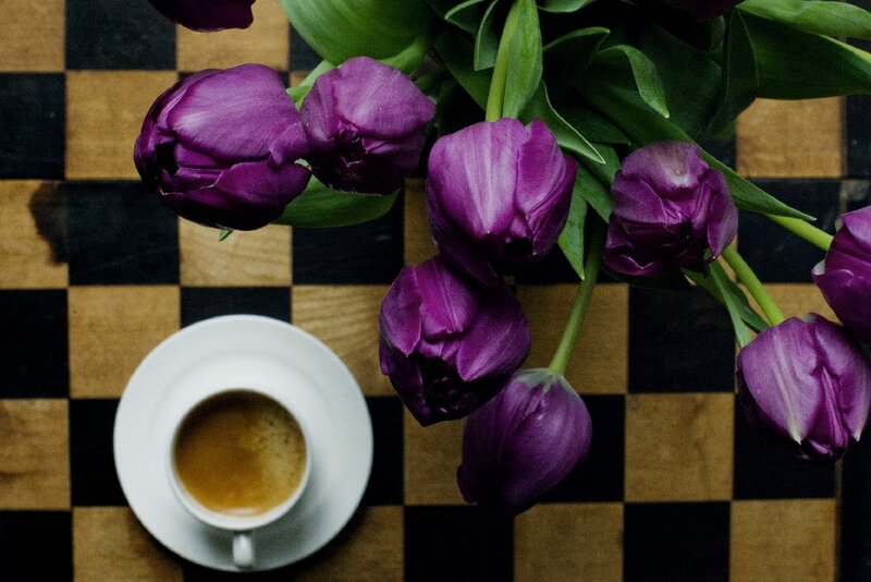 Purple Tulips and Coffee — Calm, Morning