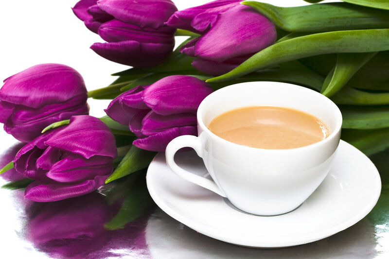 Purple Tulips and Coffee — Calm