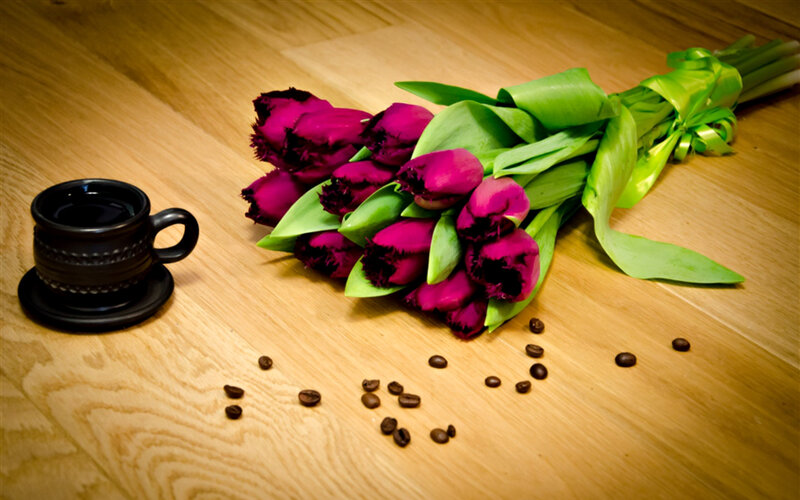 Purple Tulips and Coffee