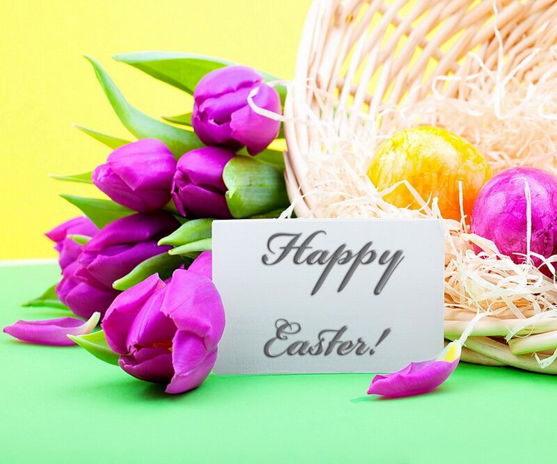 Purple Tulips and Easter Basket