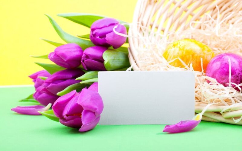 Purple Tulips and Easter Eggs — Yellow