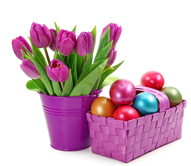 Purple Tulips and Eggs — Festive, Spring