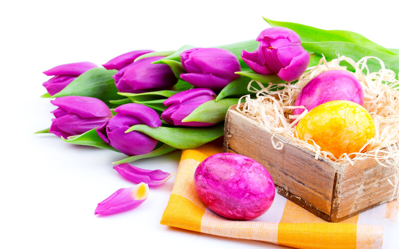 Purple Tulips and Eggs — Festive