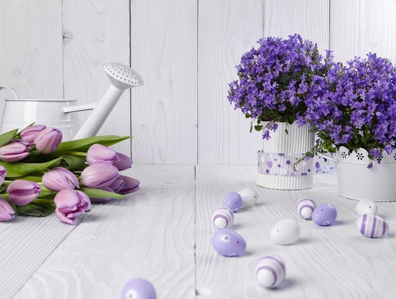 Purple Tulips and Eggs — Serene