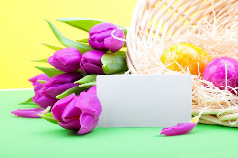 Purple Tulips and Eggs — Yellow