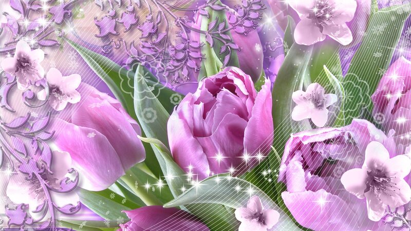 Purple Tulips and Flowers