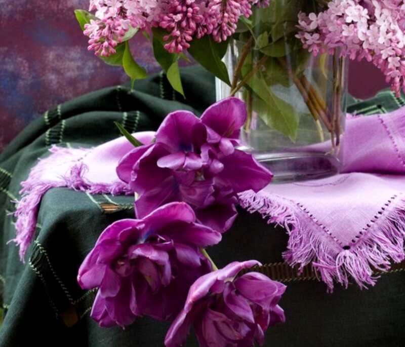 Purple Tulips and Lilacs — Calm
