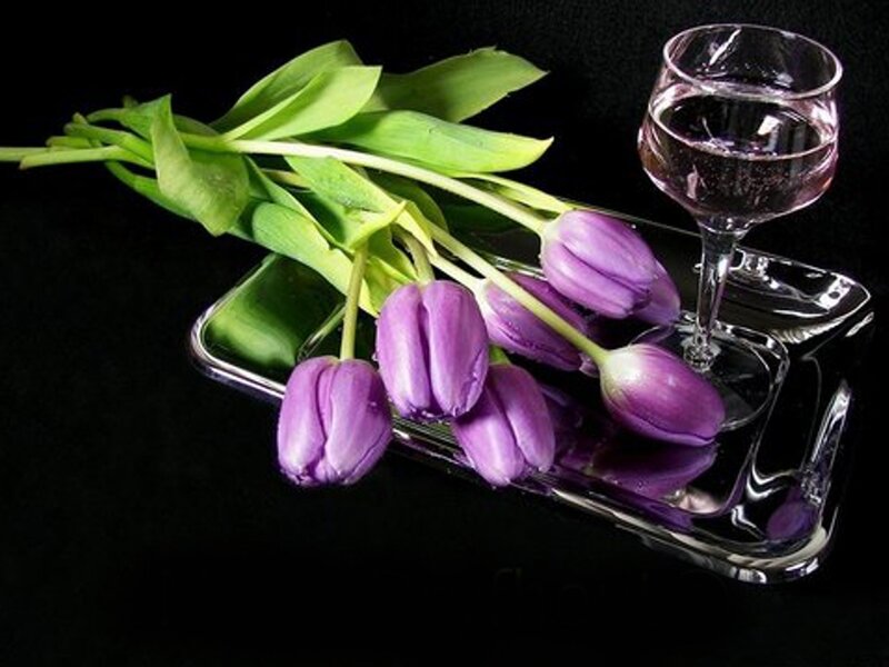 Purple tulips and wine glass