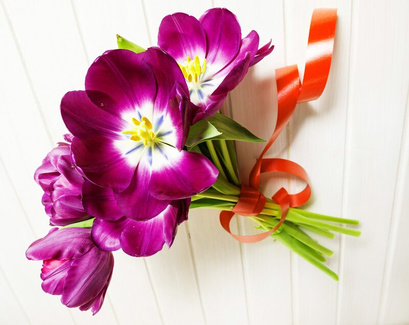 Purple Tulips Bouquet — Calm, Photograph, Green Leaves, Red Ribbon