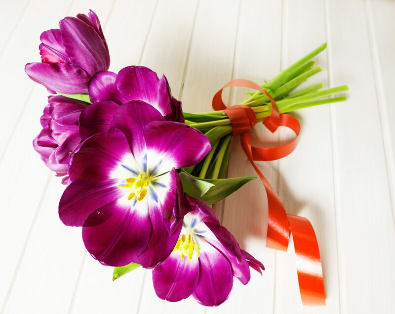 Purple Tulips Bouquet — Calm, Photograph, Green Stems